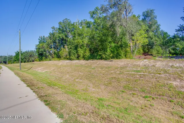 a view of a yard with a tree