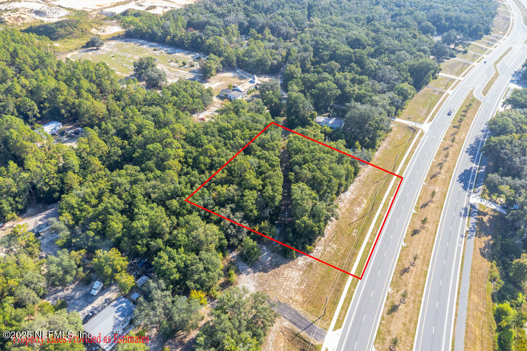 1926 Highway 20 Hawthorne, FL 32640 - Photo 3 of 13 a view of a yard with plants and large trees