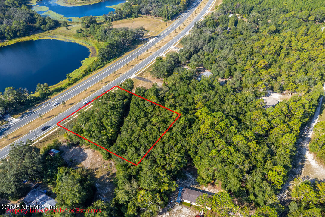1926 Highway 20 Hawthorne, FL 32640 - Photo 7 of 13 a view of a garden with plants