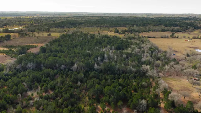 $855,000 | 3662 Acr 359, Palestine, TX 75801