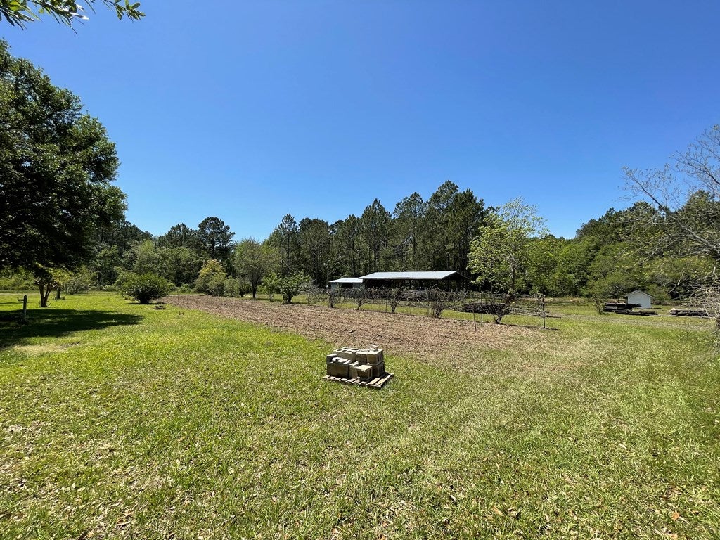 2885 North Coffee Road Nashville, GA 31639 - Photo 33 of 63 Gallery Image 33