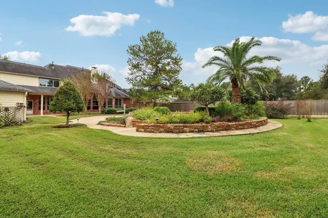 a view of a park with large trees