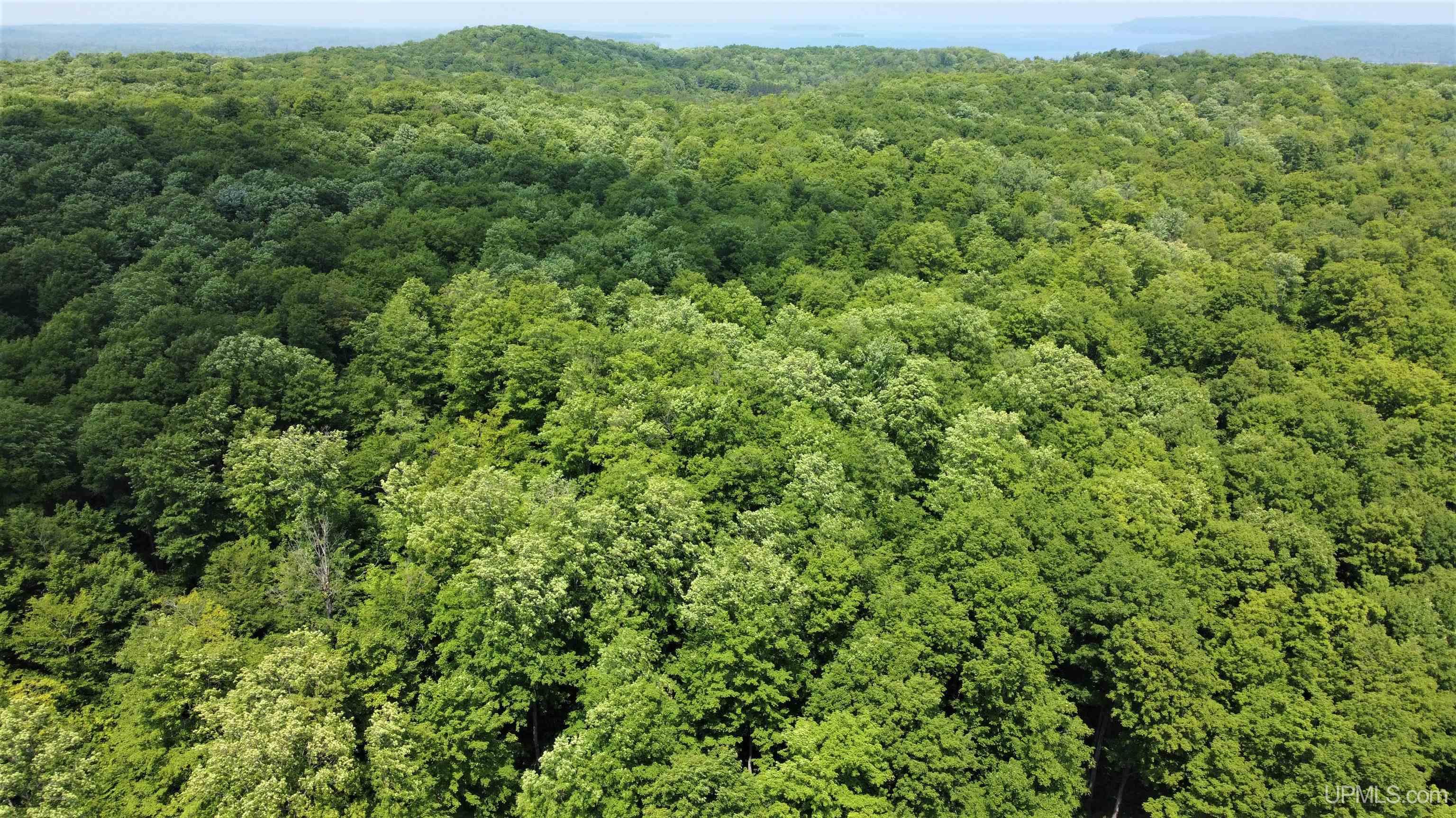 On Gage Road Munising, MI 49862 - Photo 9 of 17
