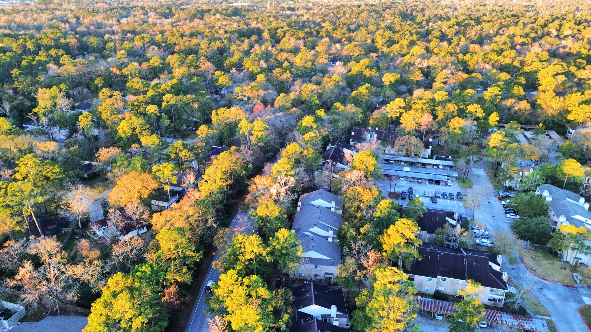 3500 Tangle Brush Drive, Unit 186 Spring, TX 77381 - Photo 2 of 43