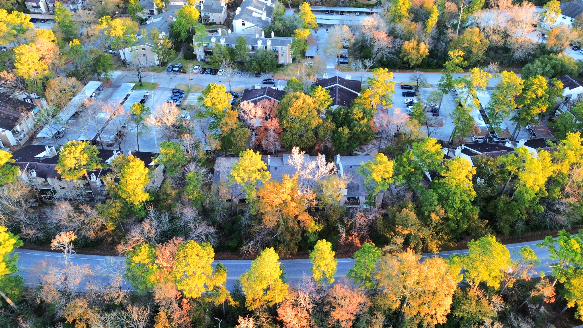 3500 Tangle Brush Drive, Unit 186 Spring, TX 77381 - Photo 3 of 43
