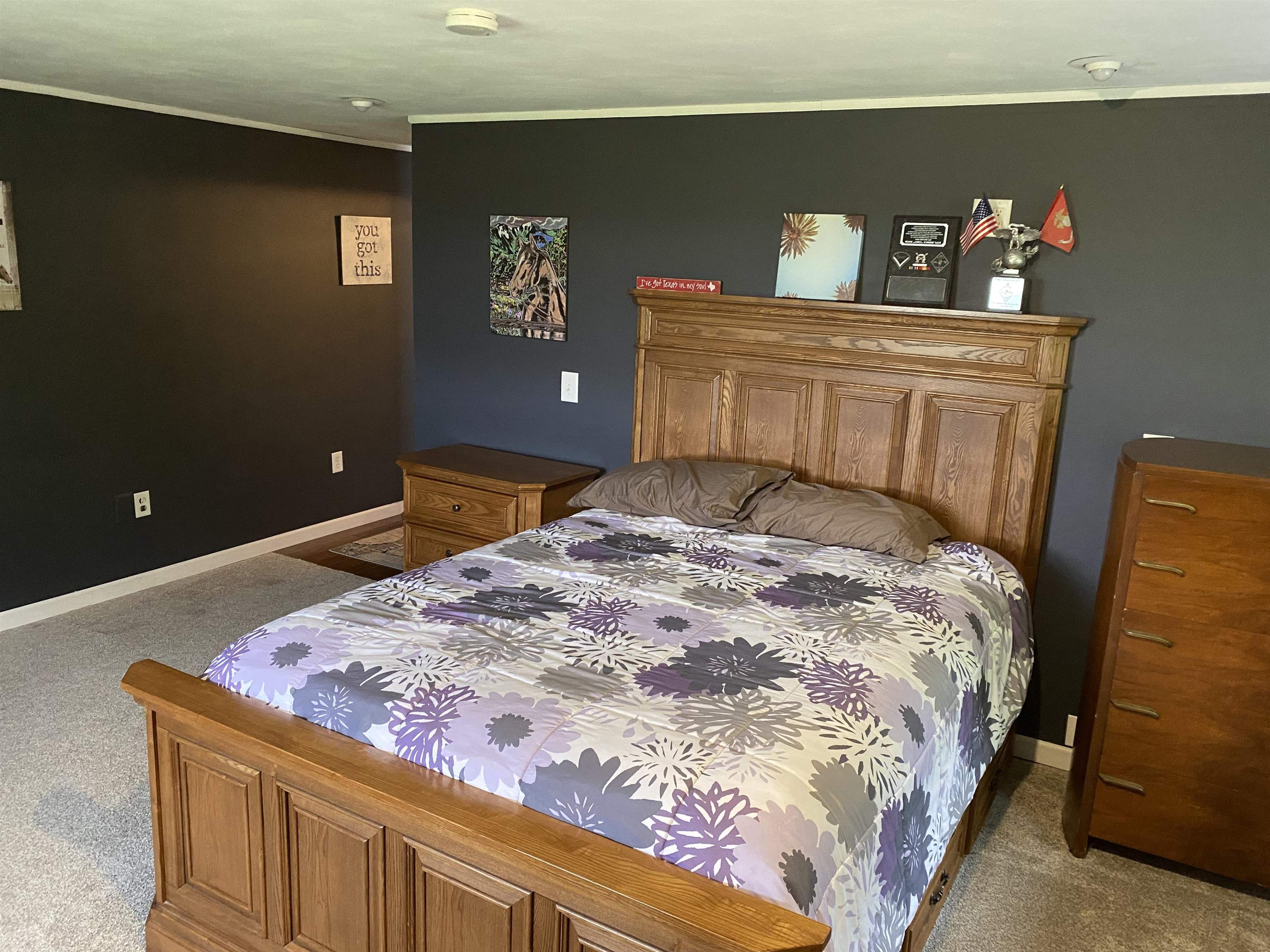 4482 East Lamm Road Freeport, IL 61032 - Photo 21 of 47 a bedroom with a bed and a dresser