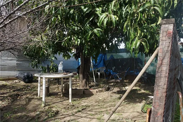 a patio with table and chairs a barbeque and a large tree