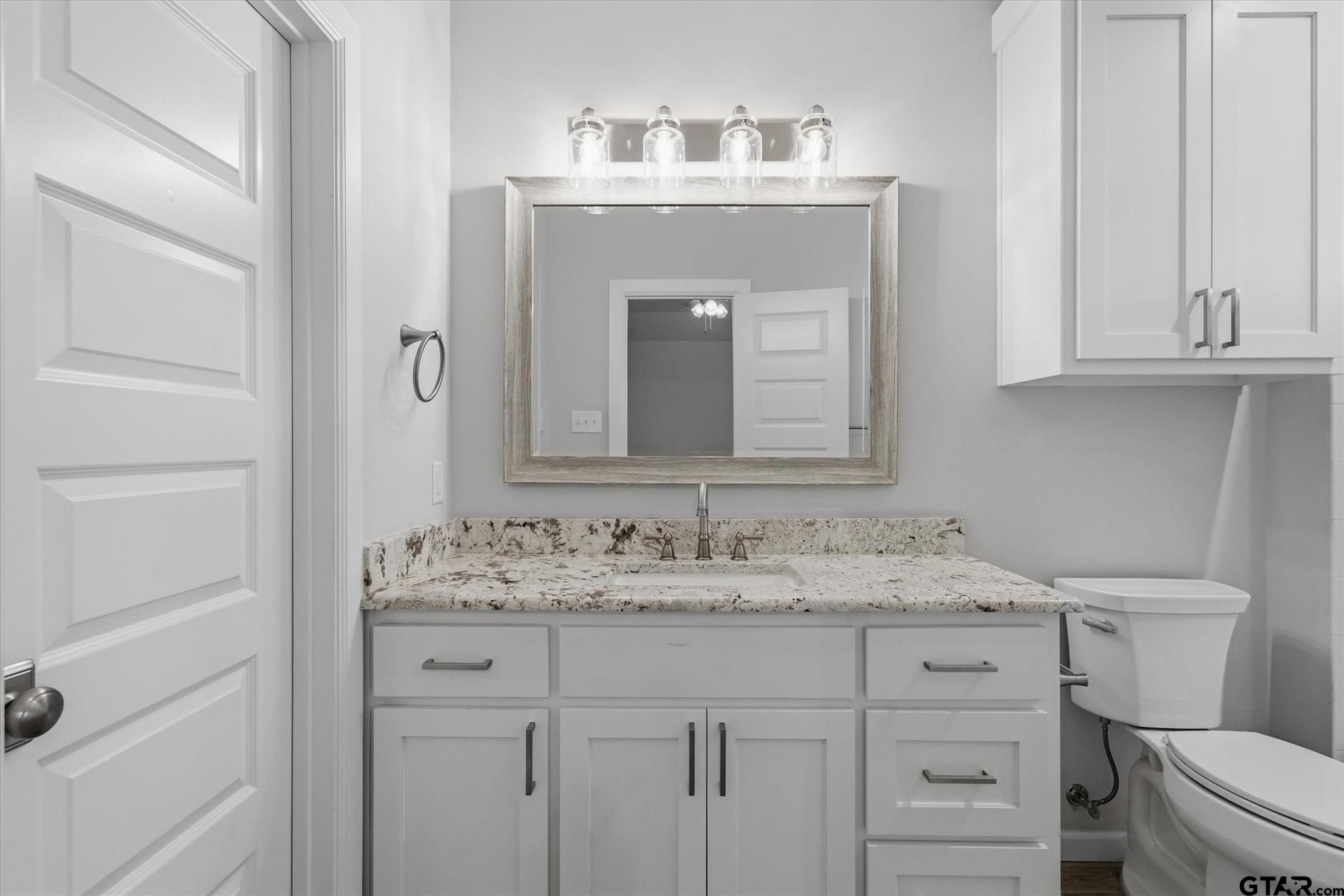 1011 Athens Street Canton, TX 75103 - Photo 18 of 38 a bathroom with a sink vanity and a toilet