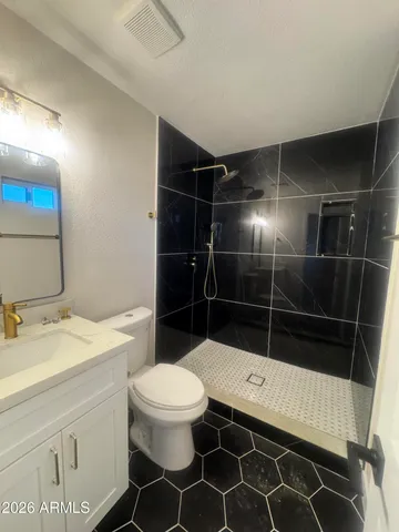 a bathroom with a sink toilet vanity and shower