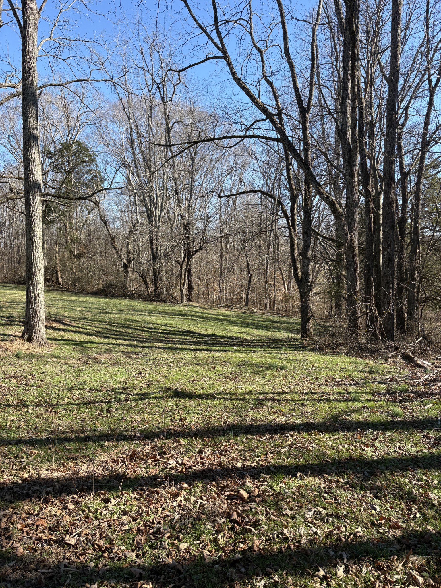 328 Lafayette Road Red Boiling Springs, TN 37150 - Photo 17 of 34 a view of a green field