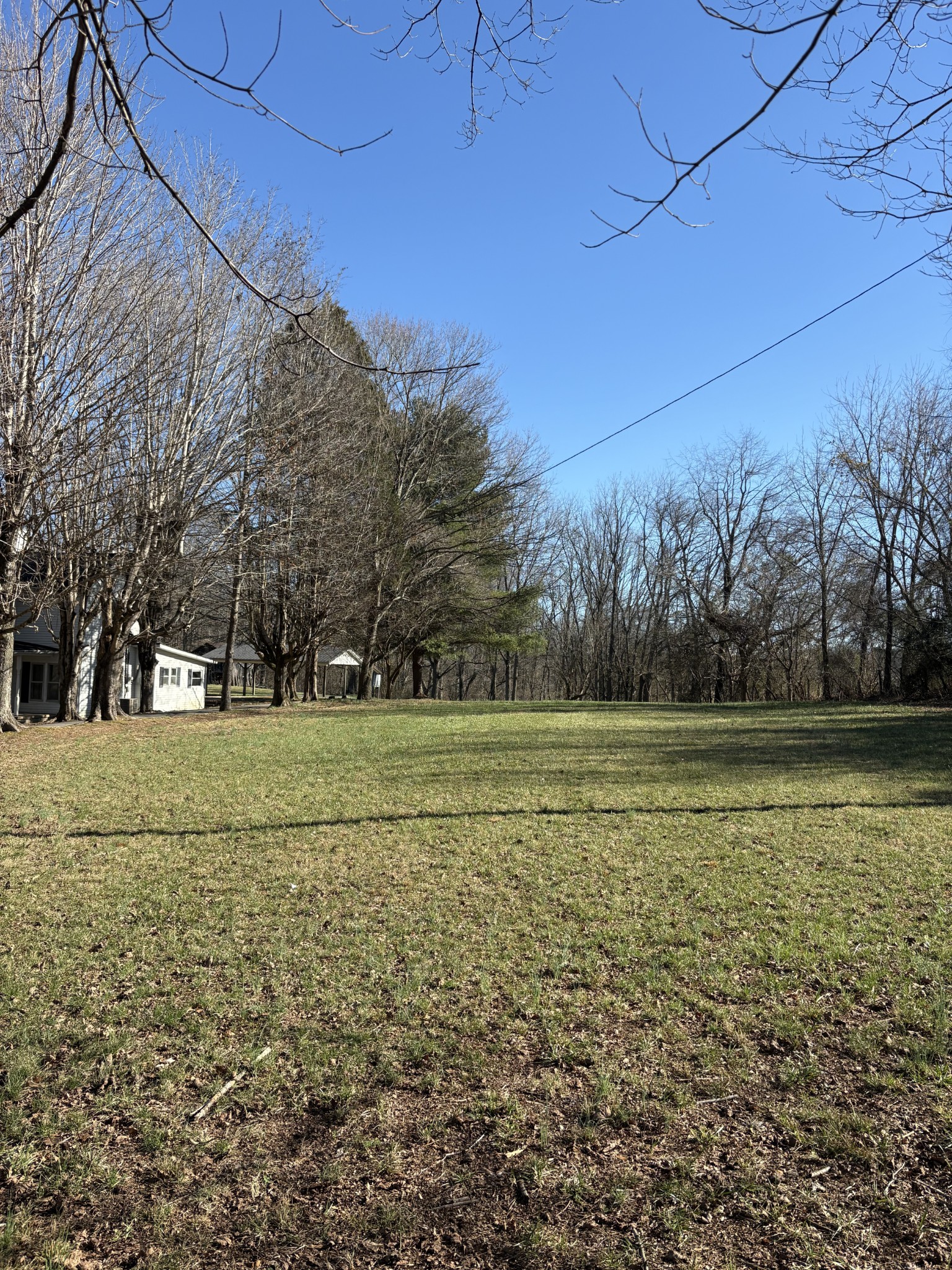 328 Lafayette Road Red Boiling Springs, TN 37150 - Photo 19 of 34 a view of a field with trees