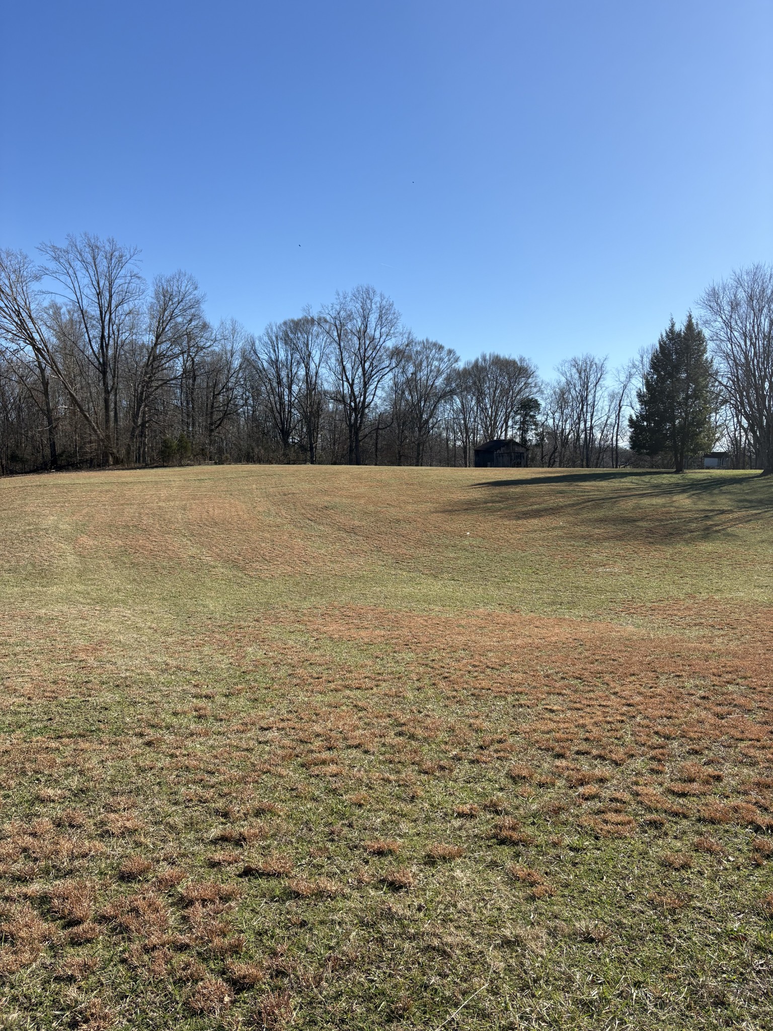 328 Lafayette Road Red Boiling Springs, TN 37150 - Photo 21 of 34