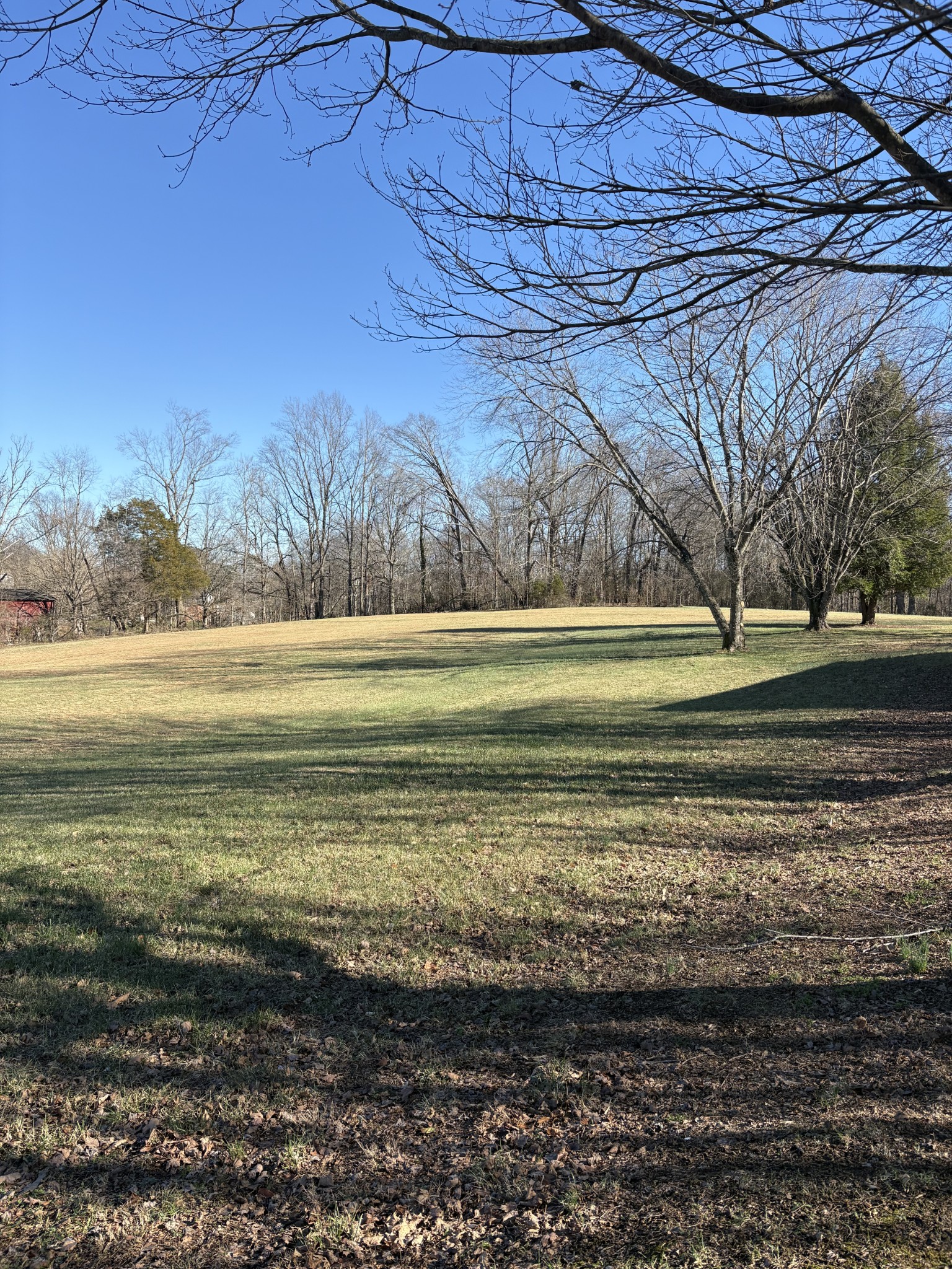 328 Lafayette Road Red Boiling Springs, TN 37150 - Photo 23 of 34 a view of a big yard