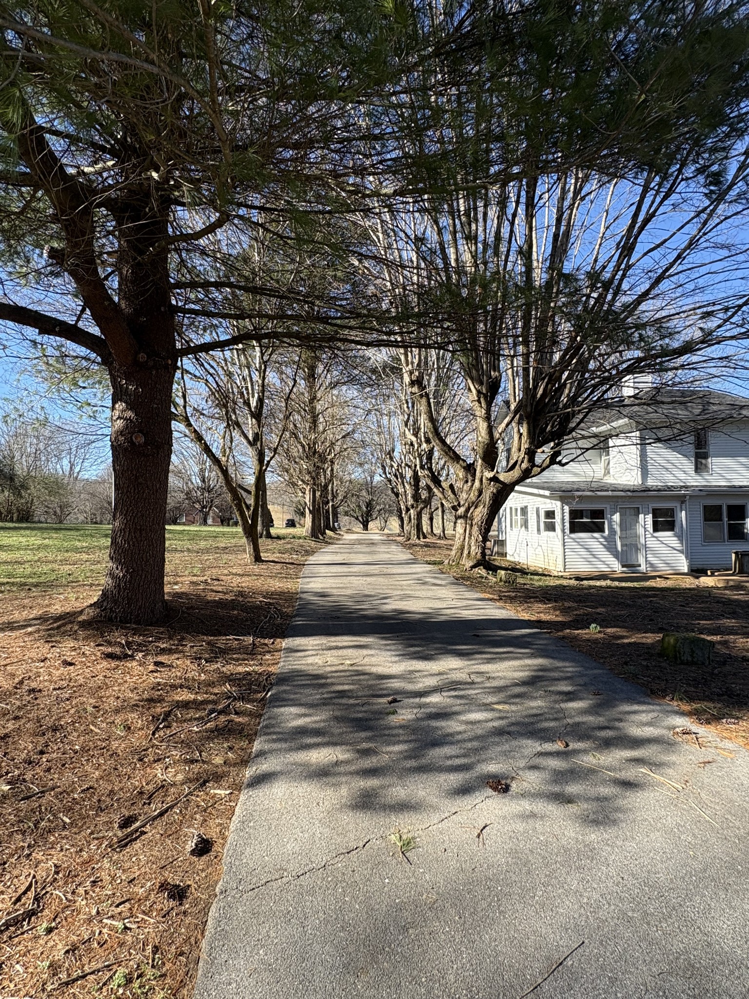 328 Lafayette Road Red Boiling Springs, TN 37150 - Photo 6 of 34 a front view of a house with a yard