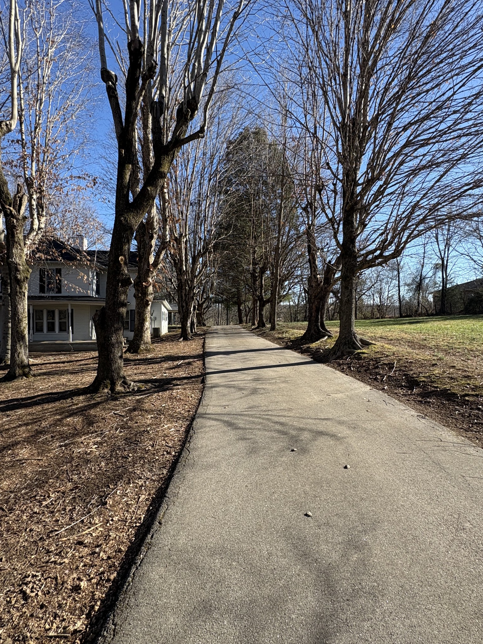 328 Lafayette Road Red Boiling Springs, TN 37150 - Photo 7 of 34 a view of road with trees