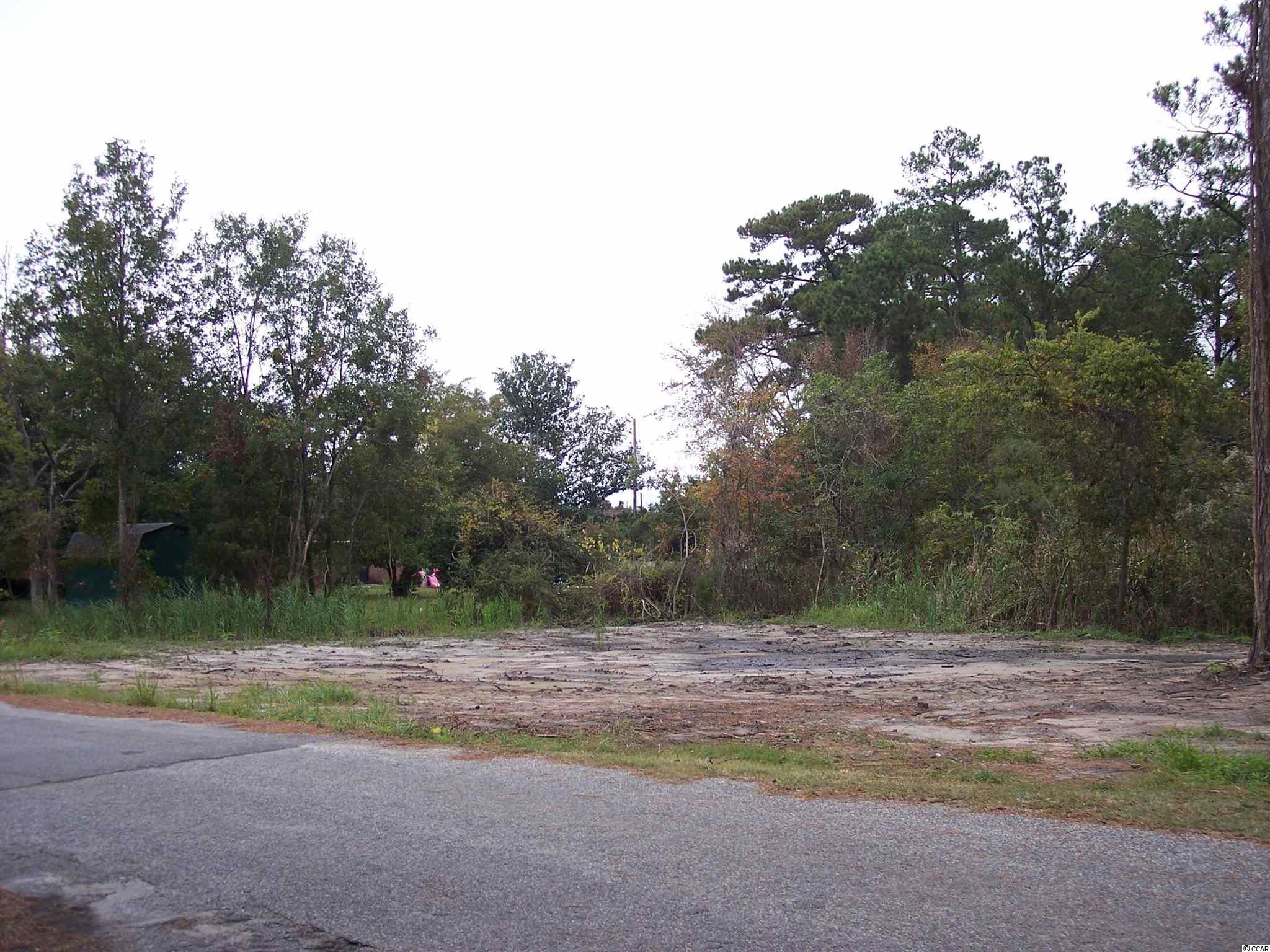 Tbd Rice Street Georgetown, SC 29440 - Photo 7 of 10 Gallery Image 7