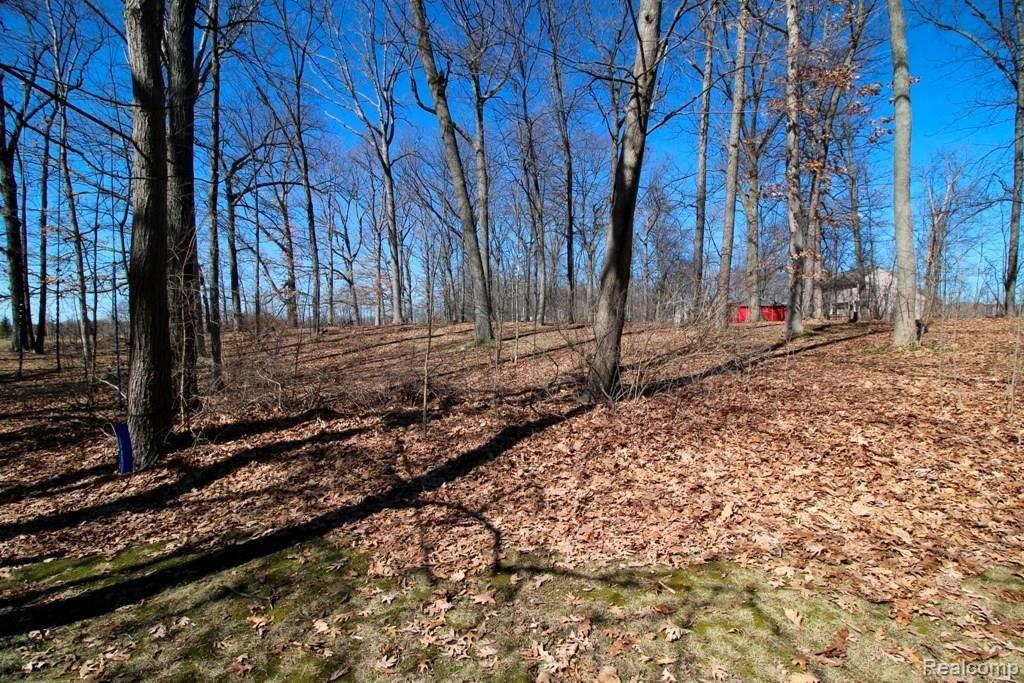1080 West Highland Road Howell, MI 48843 - Photo 6 of 37 IMG_0988.jpg