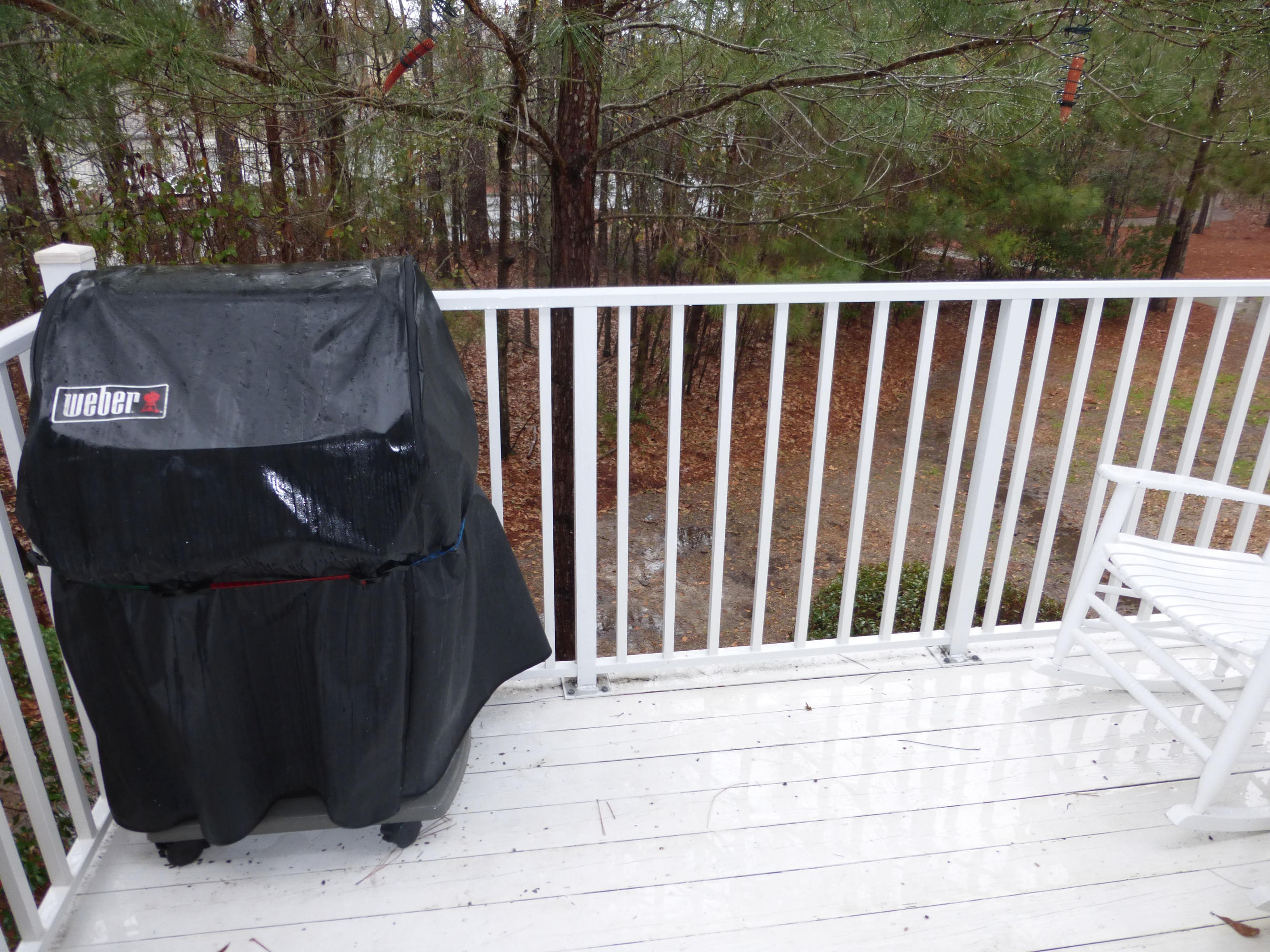 1602 Basildon Road Mount Pleasant, SC 29466 - Photo 14 of 17 P1010689