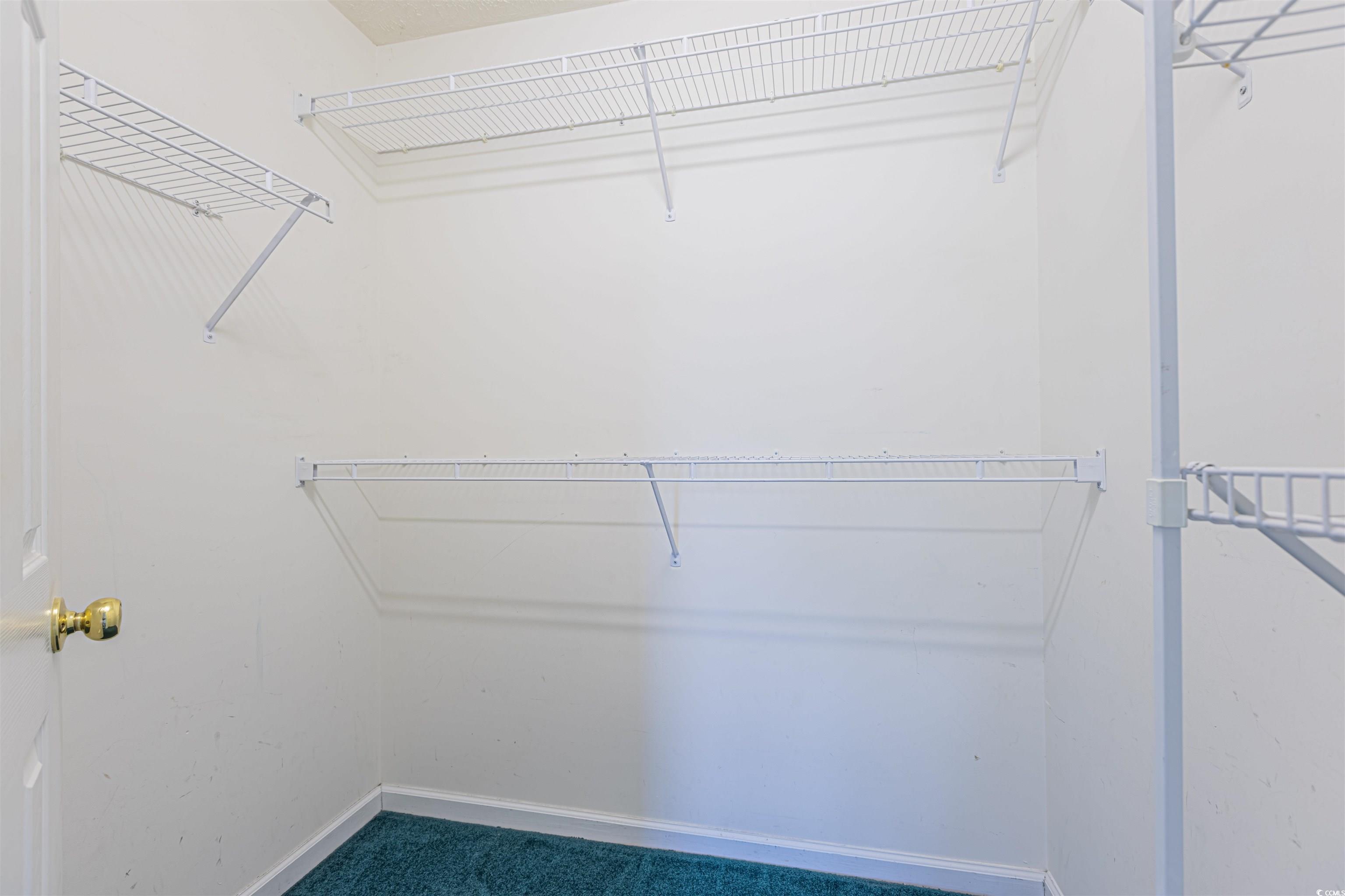 8089 Bark Court Murrells Inlet, SC 29576 - Photo 13 of 30 Unfurnished bedroom with a walk in closet, carpet