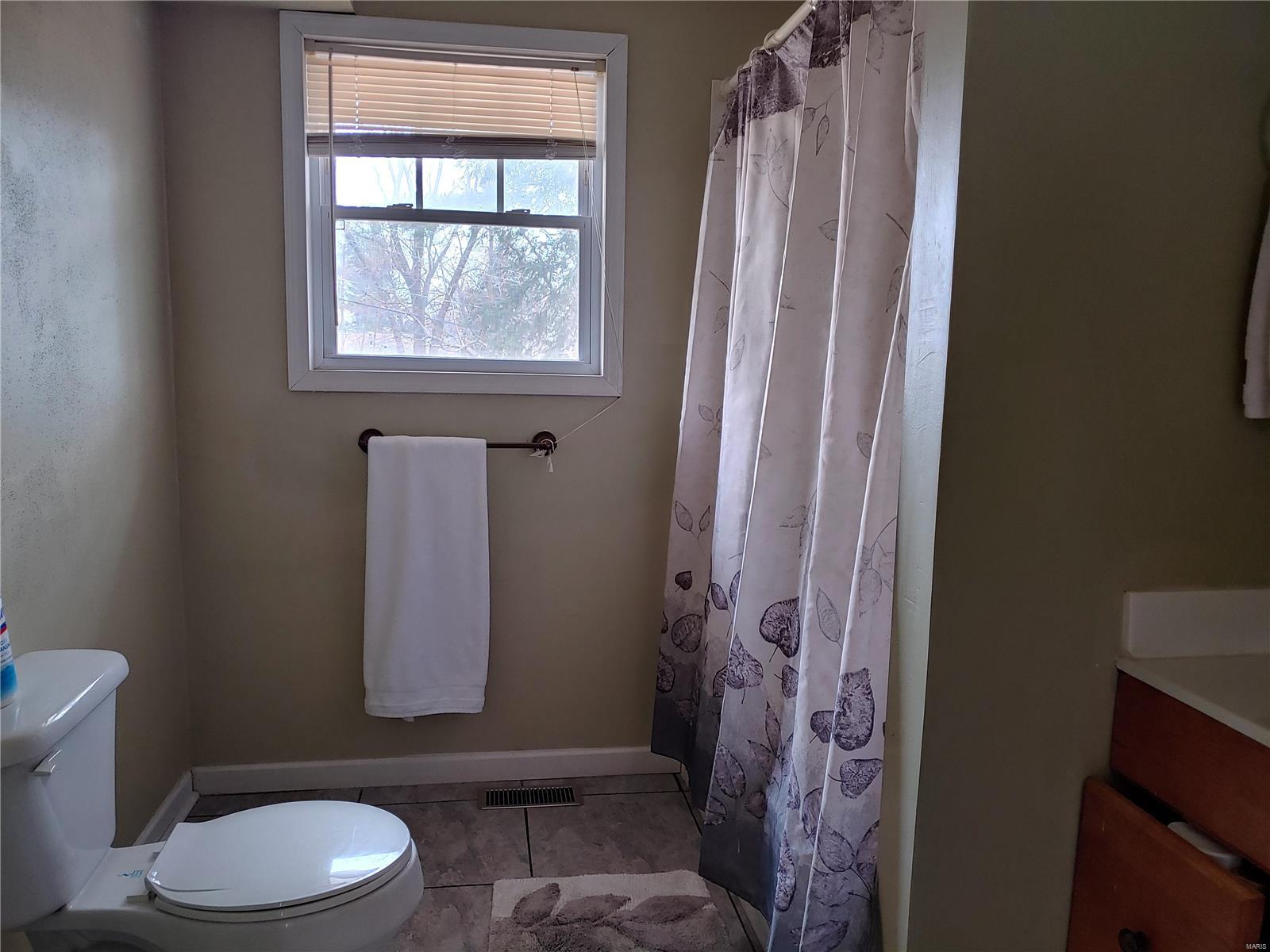 1300 Springfield Drive Belleville, IL 62221 - Photo 6 of 26 Gallery Image 6