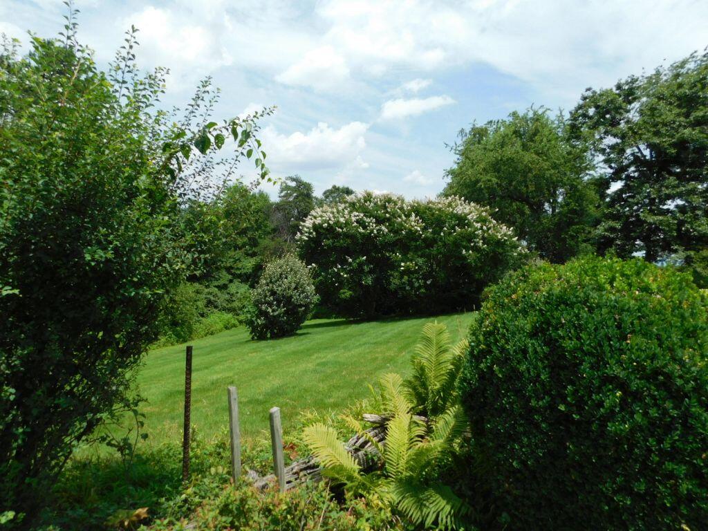 607 Diamond Road Salem, VA 24153 - Photo 32 of 38 Rear Yard