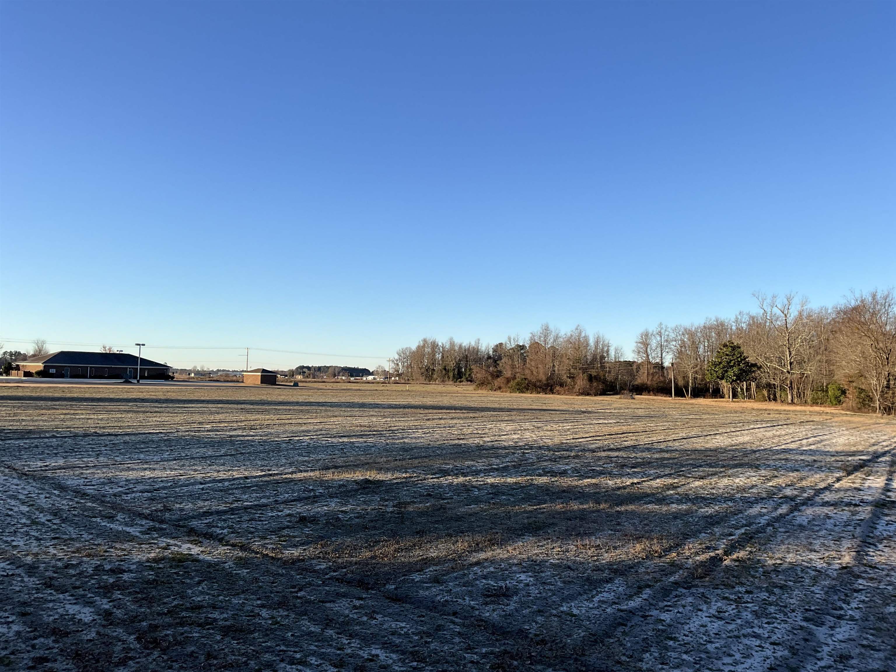 Tbd Senator Gasque Road Mullins, SC 29574 - Photo 4 of 15 View of yard