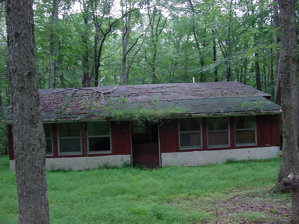 a view of a house with a garden
