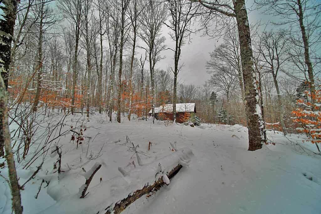Lot 14 Mountain Road Houlton, ME 04730 - Photo 28 of 75 driveway-mountain-top-log-c