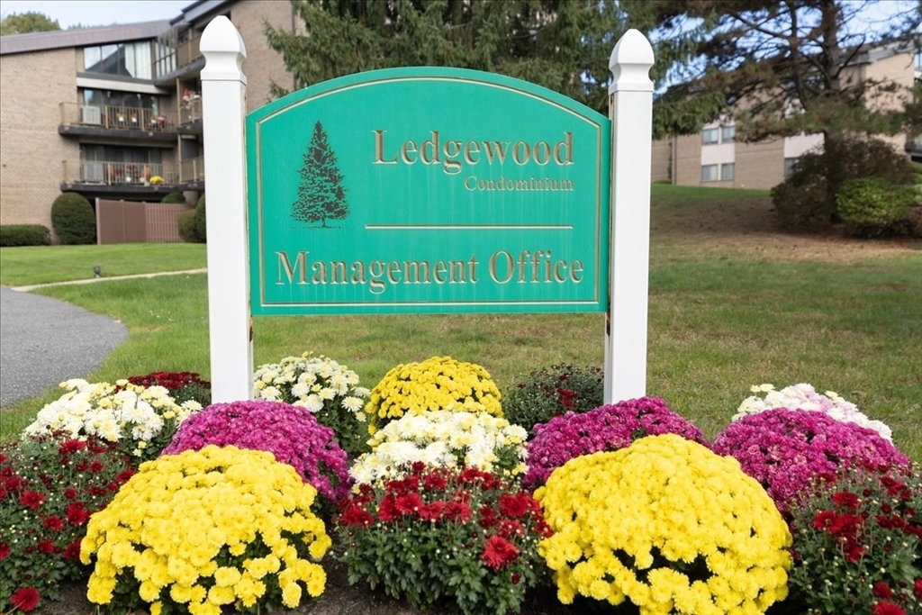 9 Ledgewood Way, Unit 9 Peabody, MA 01960 - Photo 3 of 42 a view of a bunch of flowers and flowers