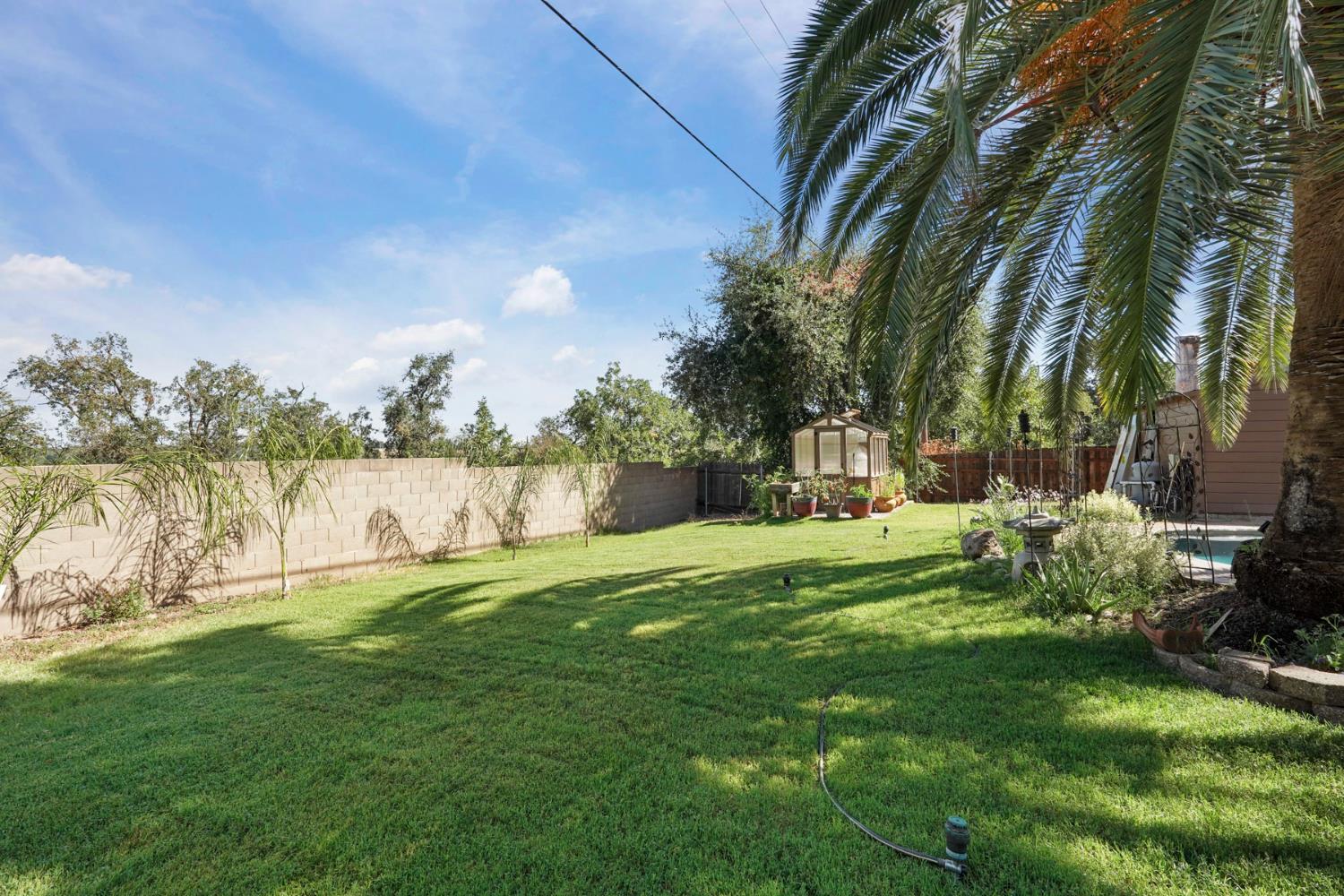 18529 Highway 88 Clements, CA 95237 - Photo 39 of 42 a garden with trees in the background