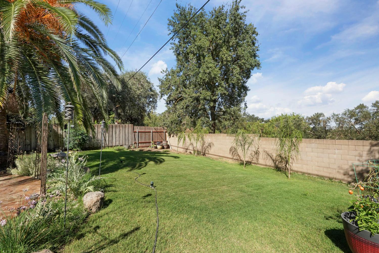 18529 Highway 88 Clements, CA 95237 - Photo 40 of 42 a view of a garden with trees