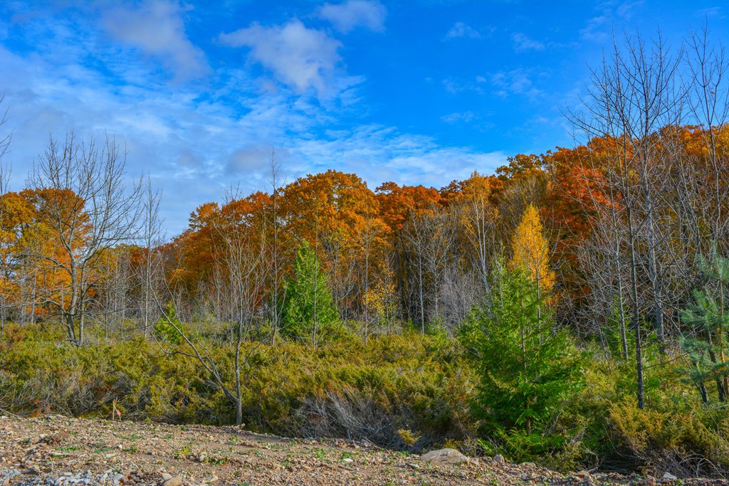 Bluff Lane Fish Creek, WI 54212 - Photo 5 of 9