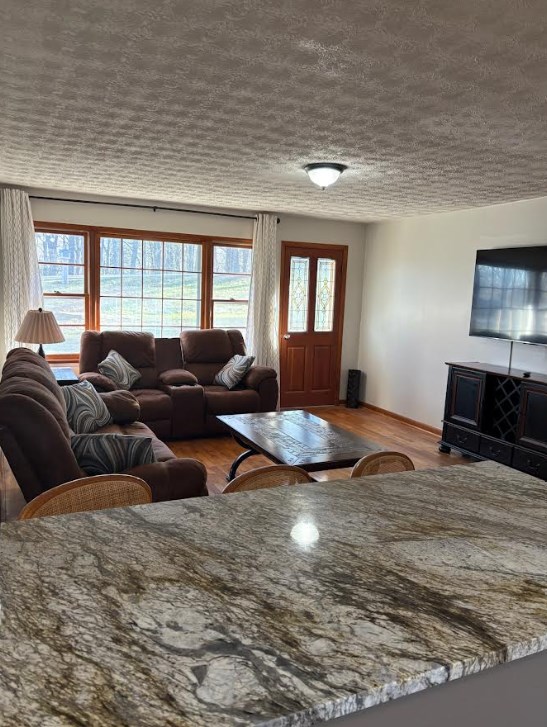 222 Sugar Creek Road Blue Ridge, GA 30513 - Photo 5 of 27