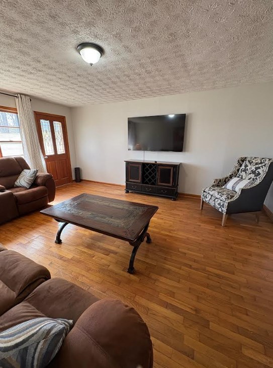 222 Sugar Creek Road Blue Ridge, GA 30513 - Photo 7 of 27