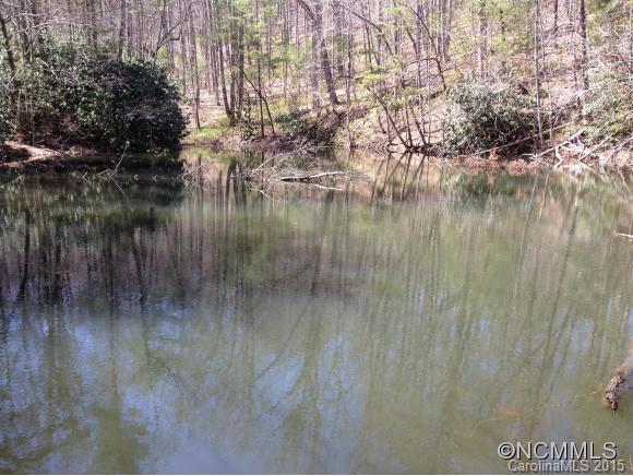 33.26-ac Old Fort Road Fairview, NC 28730 - Photo 11 of 24 Gallery Image 11