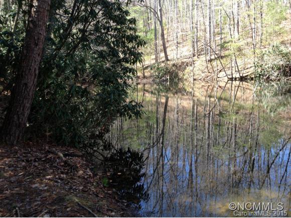 33.26-ac Old Fort Road Fairview, NC 28730 - Photo 14 of 24 Gallery Image 14