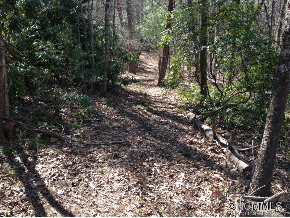 33.26-ac Old Fort Road Fairview, NC 28730 - Photo 17 of 24 Gallery Image 17