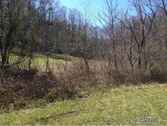 33.26-ac Old Fort Road Fairview, NC 28730 - Photo 9 of 24 Gallery Image 9