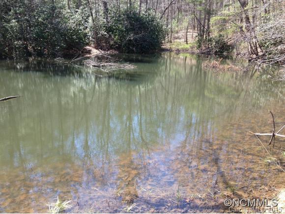 33.26-ac Old Fort Road Fairview, NC 28730 - Photo 10 of 24 Gallery Image 10