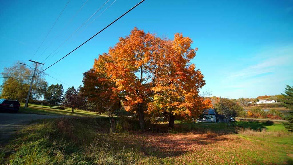 600 Robinson Road Blaine, ME 04734 - Photo 14 of 20 600-robinson-rd-blaine-4