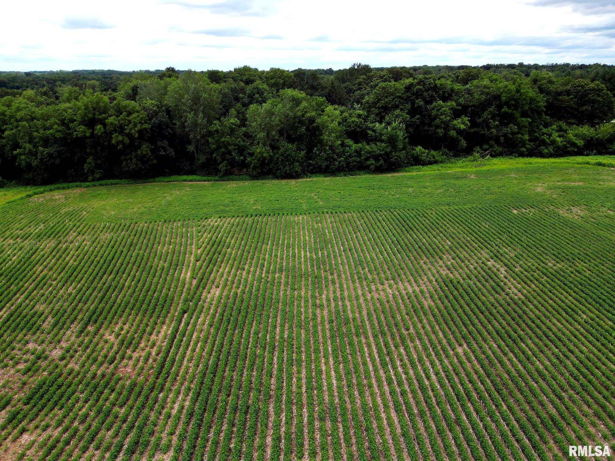 0 North Jackson Road Canton, IL 61520 - Photo 14 of 18