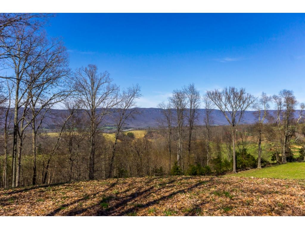 3125 Forge Ridge Road Harrogate, TN 37752 - Photo 3 of 36 Photo 3