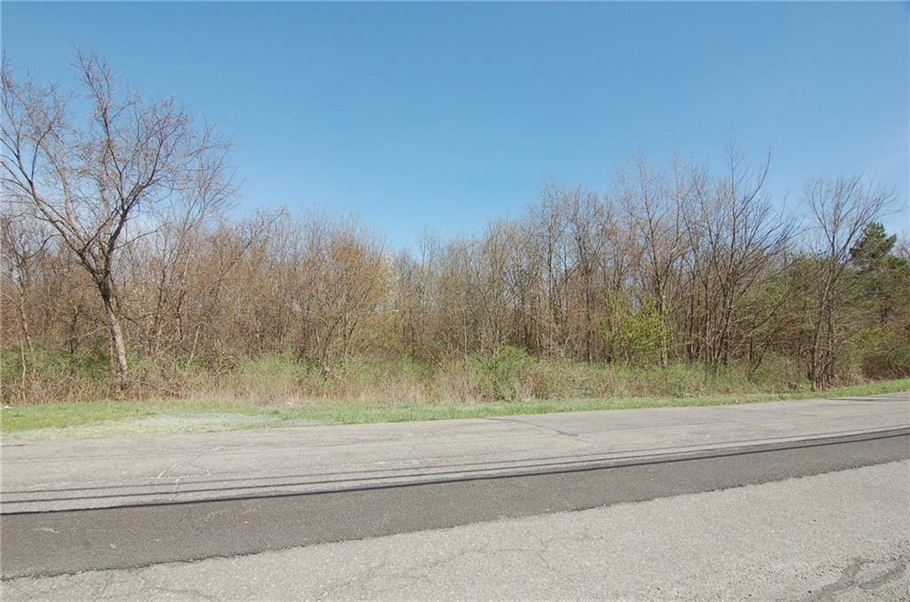 a view of a yard with large trees