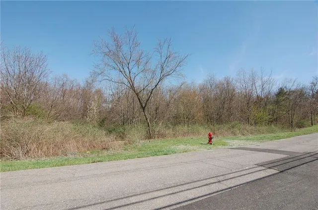a view of a road with a yard