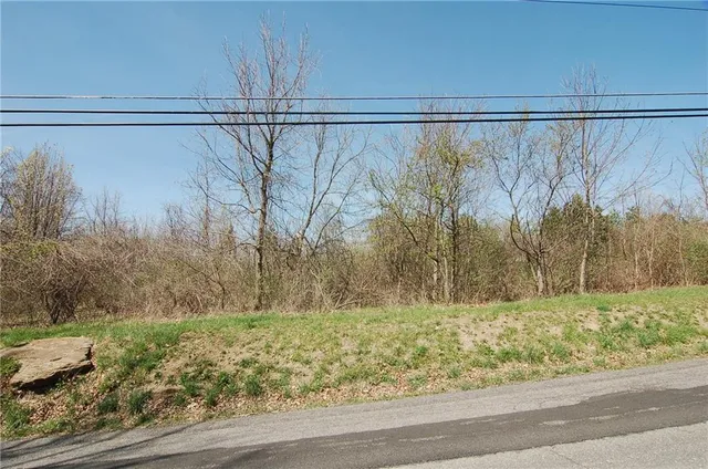 a view of yard with green space