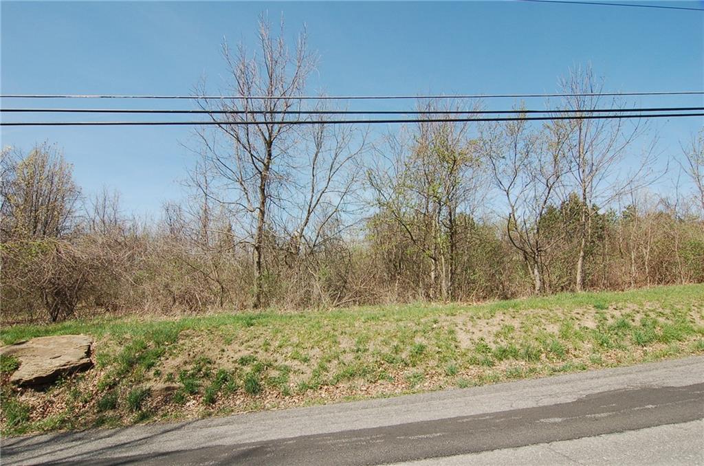 0 Phillips Lane McKees Rocks, PA 15136 - Photo 6 of 10 a view of a dry yard