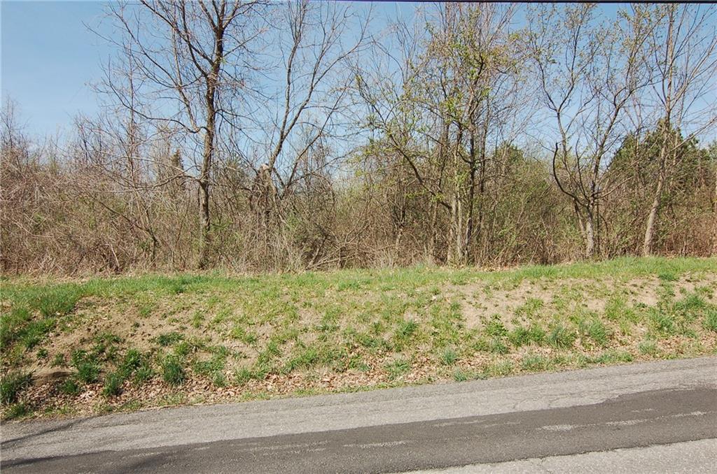 0 Phillips Lane McKees Rocks, PA 15136 - Photo 9 of 10 a view of a yard