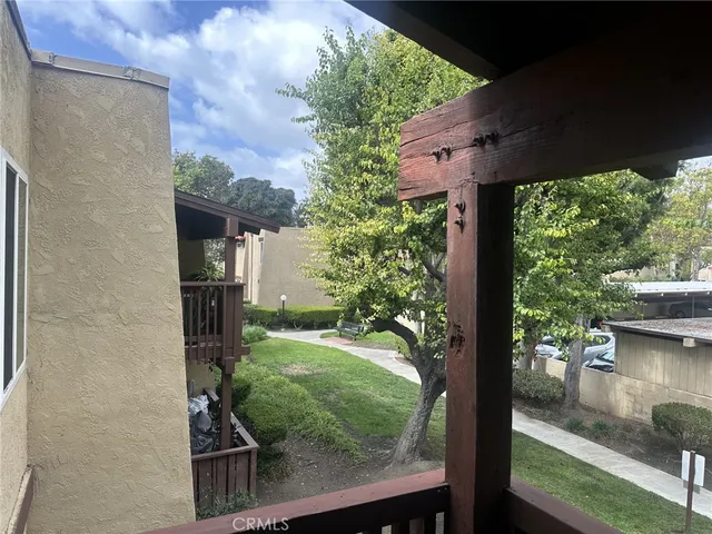 a view of backyard with plants and large trees