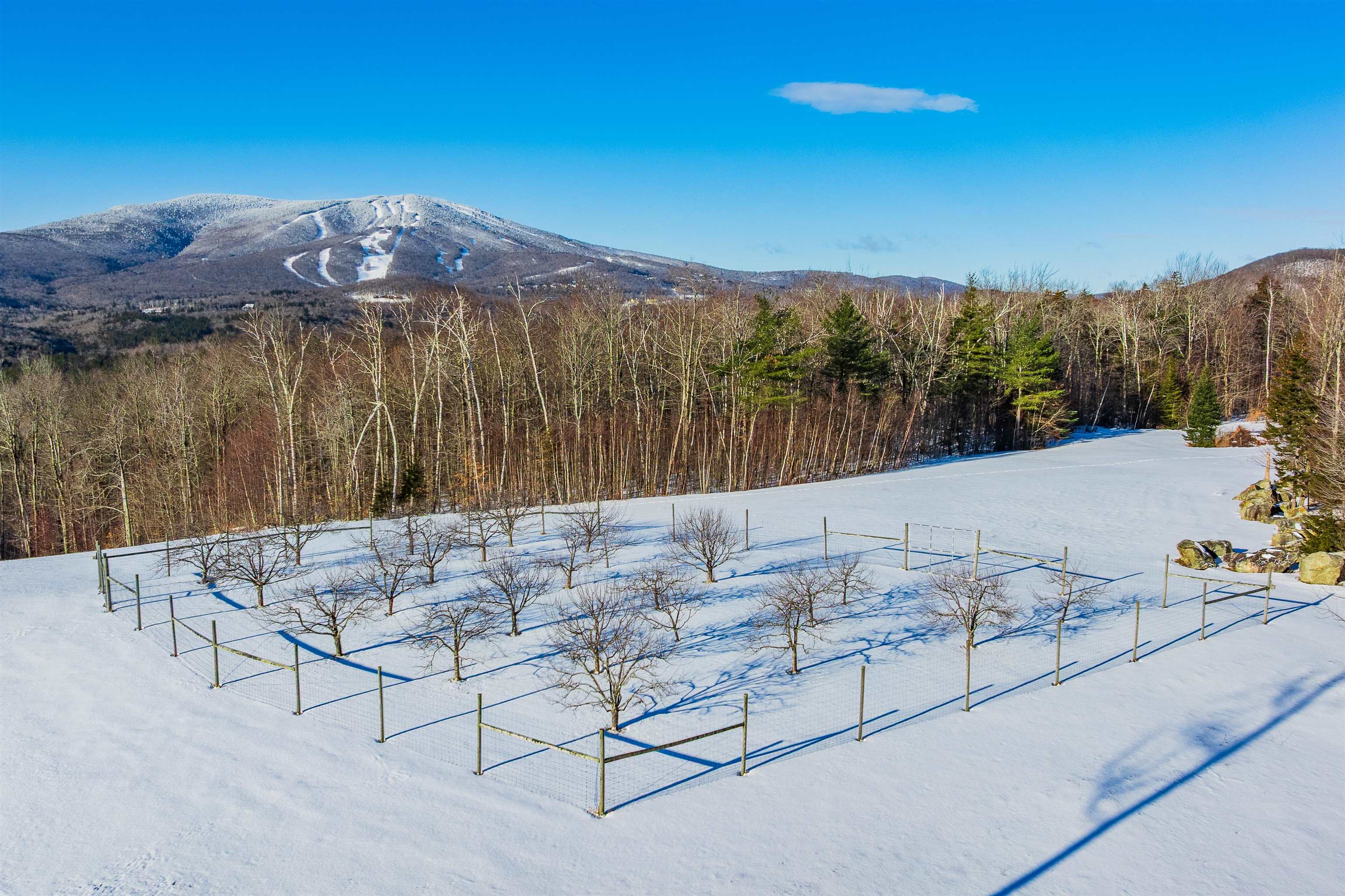 557 Trager Road Jamaica, VT 05343 - Photo 56 of 60
