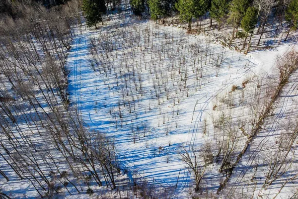 $8,200,000 | 557 Trager Road, Jamaica, VT 05343